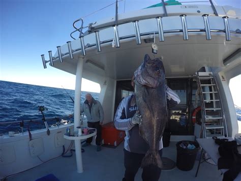 reef fishing charters sydney|Sydney Fishing Charters .